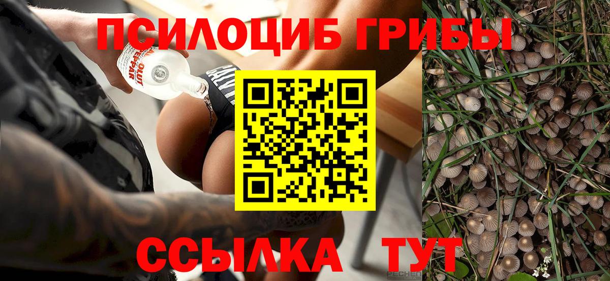 Псилоцибиновые грибы ЛСД  Вход с VPN  Чапаевск 