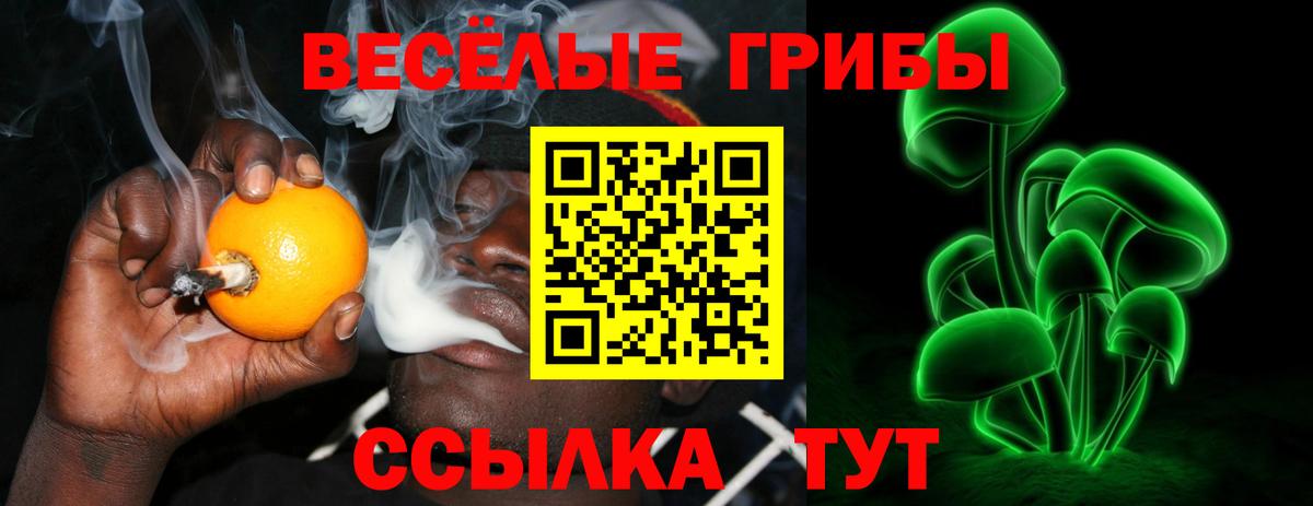 Галлюциногенные грибы Cubensis Чапаевск